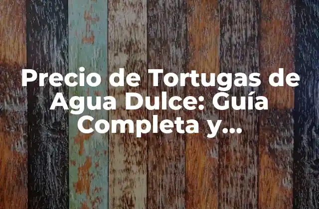 Precio de Tortugas de Agua Dulce: Guía Completa y Actualizada