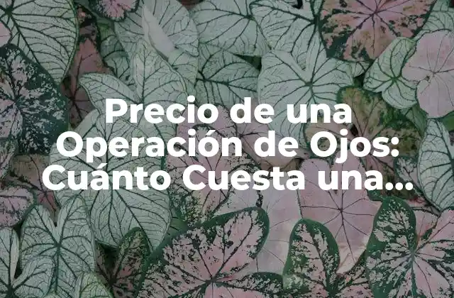 Precio de una Operación de Ojos: Cuánto Cuesta una Cirugía Ocular
