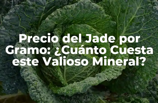 Precio Del Jade por Gramo: ¿cuánto Cuesta Este Valioso Mineral?
