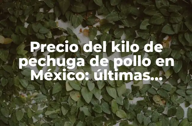 Precio Del Kilo de Pechuga de Pollo en México: Últimas Tendencias y Análisis