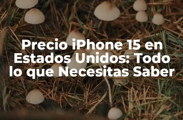Precio Iphone 15 en Estados Unidos: Todo Lo que Necesitas Saber