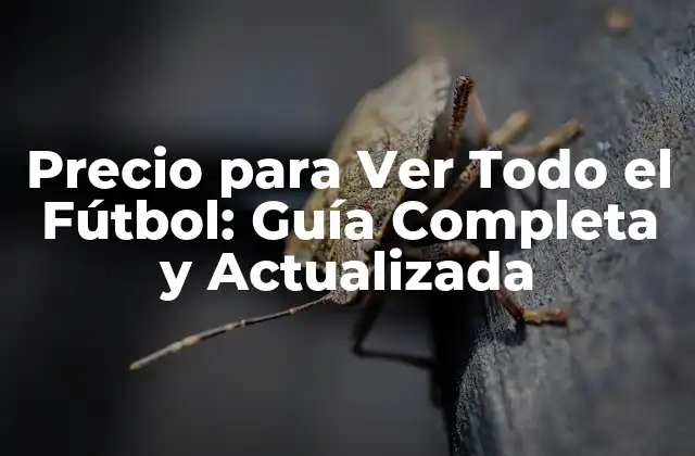 Precio para Ver Todo el Fútbol: Guía Completa y Actualizada