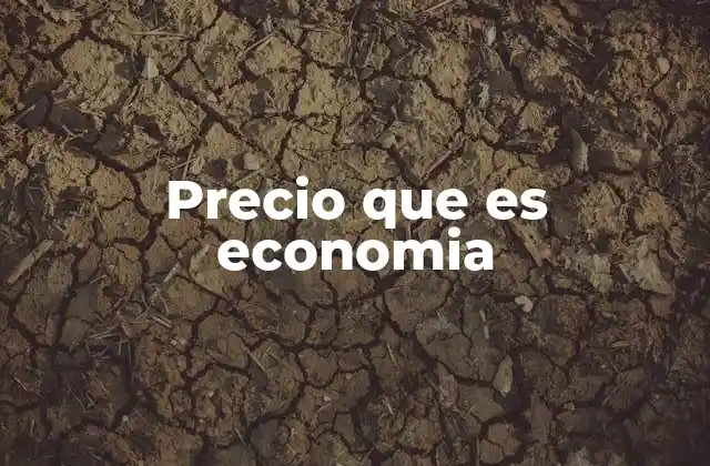 Precio que es Economia