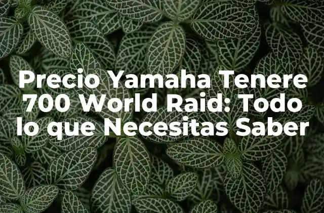 Características y Equipamiento de la Yamaha Tenere 700 World Raid