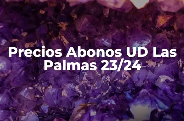 Precios Abonos Ud las Palmas 23/24 2 Tipos de Abonos Disponibles