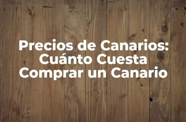 Precios de Canarios: Cuánto Cuesta Comprar un Canario 2 Variaciones en los Precios de Canarios