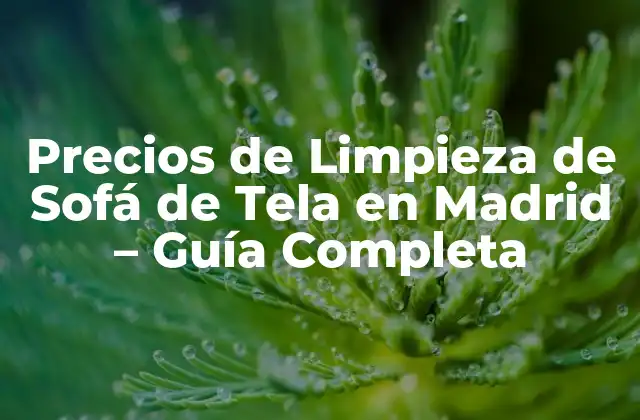 ¿Cuánto Cuesta Limpieza de Sofá de Tela en Madrid?