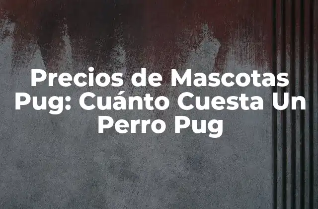 Precios de Mascotas Pug: Cuánto Cuesta un Perro Pug
