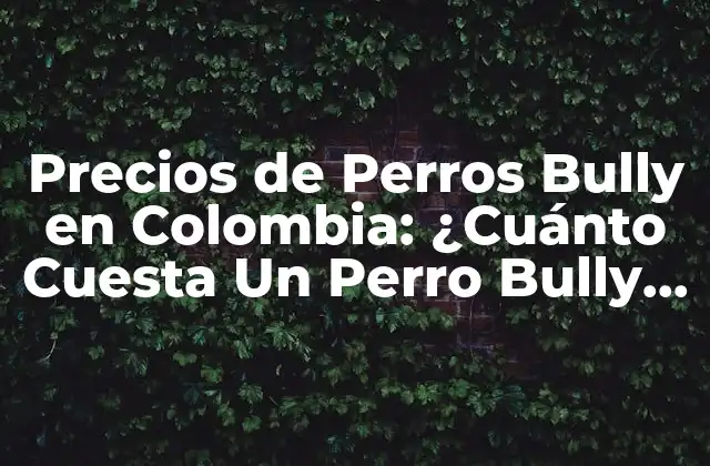 Precios de Perros Bully en Colombia: ¿cuánto Cuesta un Perro Bully en Colombia?