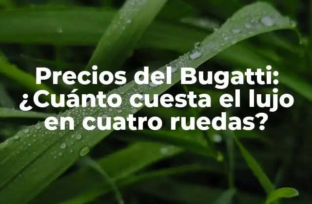 Precios Del Bugatti: ¿cuánto Cuesta el Lujo en Cuatro Ruedas?