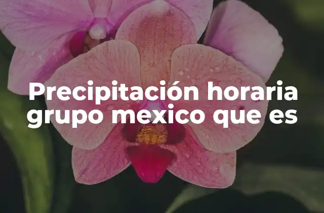 Precipitación Horaria Grupo Mexico que es