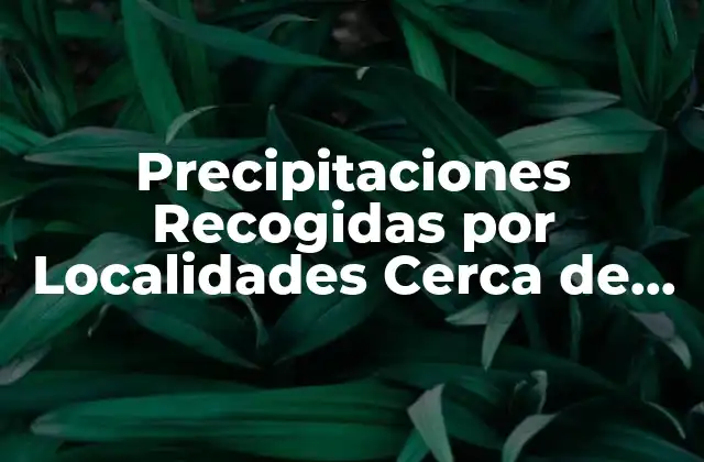 Precipitaciones Recogidas por Localidades Cerca de Madrid: un Análisis Detallado