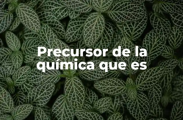 Precursor de la Química que es