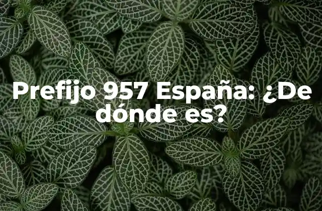Prefijo 957 España: ¿de Dónde Es?