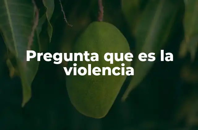 Pregunta que es la Violencia 2 El impacto de la violencia en la sociedad