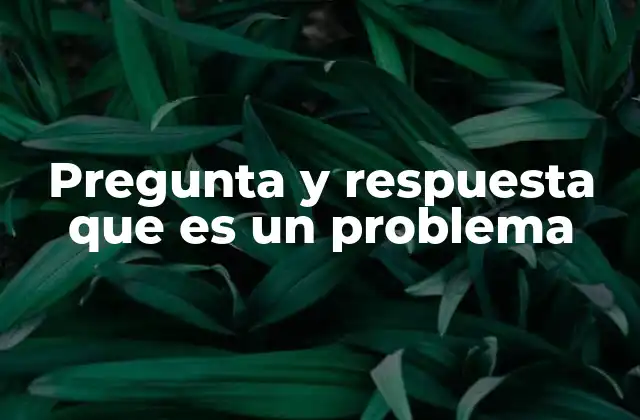 Pregunta y Respuesta que es un Problema