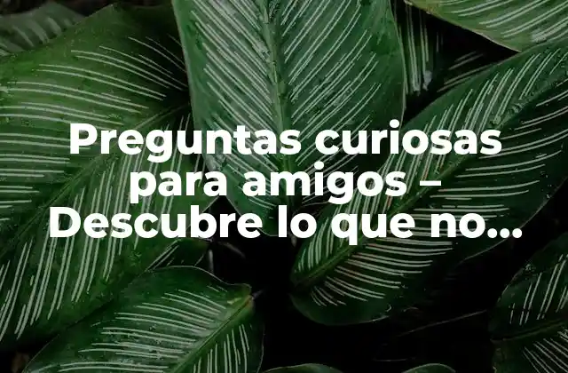 Preguntas Curiosas para Amigos – Descubre Lo que No Sabes sobre Tus Seres Queridos