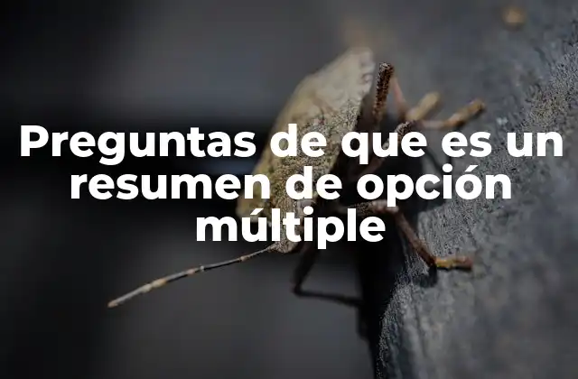 Preguntas de que es un Resumen de Opción Múltiple