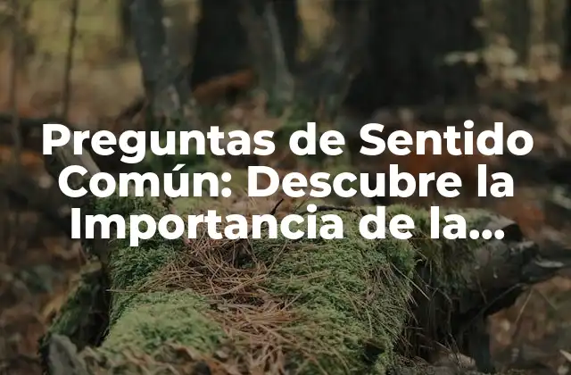 Preguntas de Sentido Común: Descubre la Importancia de la Lógica Cotidiana