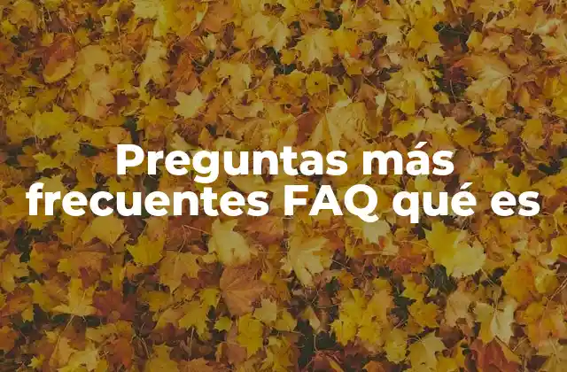 Preguntas Más Frecuentes Faq Qué es