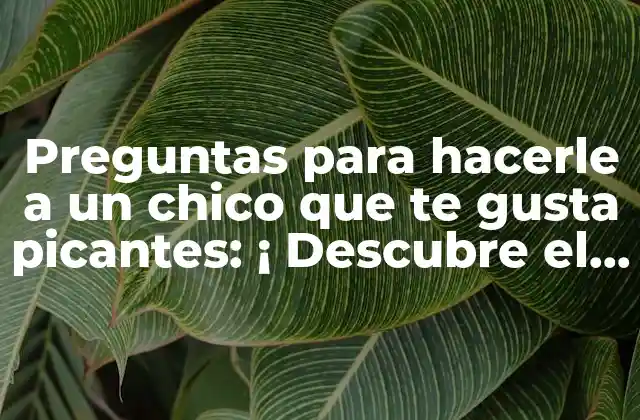 Preguntas para Hacerle a un Chico que Te Gusta Picantes: ¡ Descubre el Secreto para Conquistarlo!