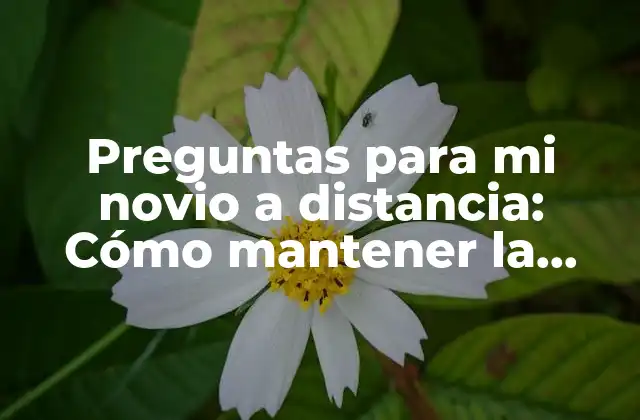 Preguntas para Mi Novio a Distancia: Cómo Mantener la Conexión a Pesar de la Distancia