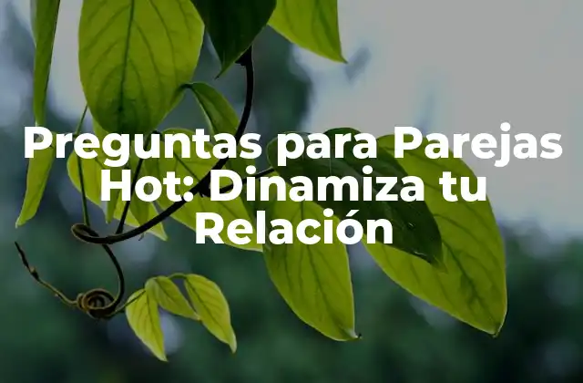 Preguntas para Parejas Hot: Dinamiza Tu Relación