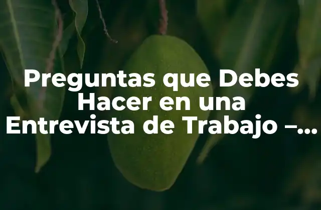 Preguntas que Debes Hacer en una Entrevista de Trabajo – Conoce las Mejores