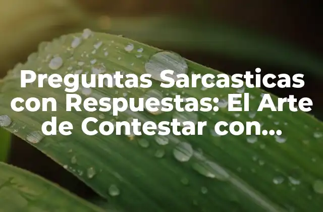 Preguntas Sarcasticas con Respuestas: el Arte de Contestar con Humor