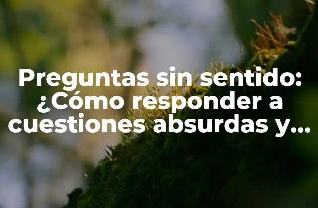 Preguntas sin Sentido: ¿cómo Responder a Cuestiones Absurdas y Mantener la Cordura?