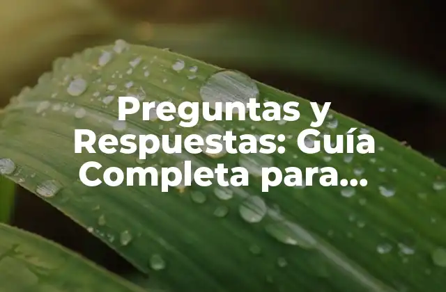 ¿Qué son las Preguntas y Respuestas?