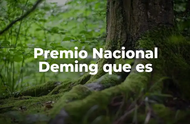 Premio Nacional Deming que es