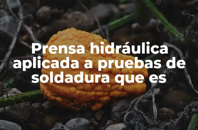 Prensa Hidráulica Aplicada a Pruebas de Soldadura que es 2 Evaluación de la resistencia de soldaduras mediante presión controlada