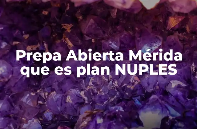 Prepa Abierta Mérida que es Plan Nuples 2 Educación inclusiva en el sureste mexicano