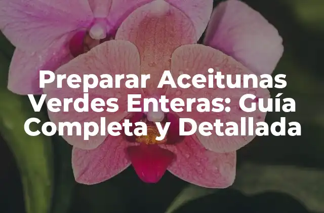 Preparar Aceitunas Verdes Enteras: Guía Completa y Detallada