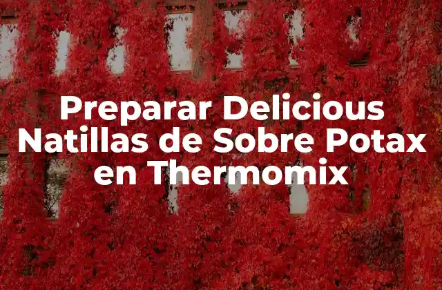 Preparar Delicious Natillas de sobre Potax en Thermomix