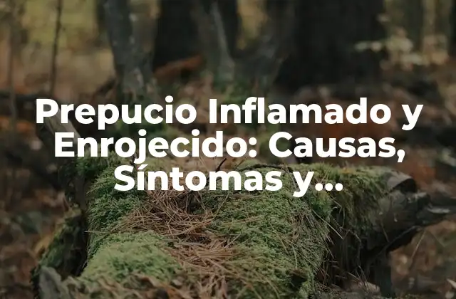 Prepucio Inflamado y Enrojecido: Causas, Síntomas y Tratamiento