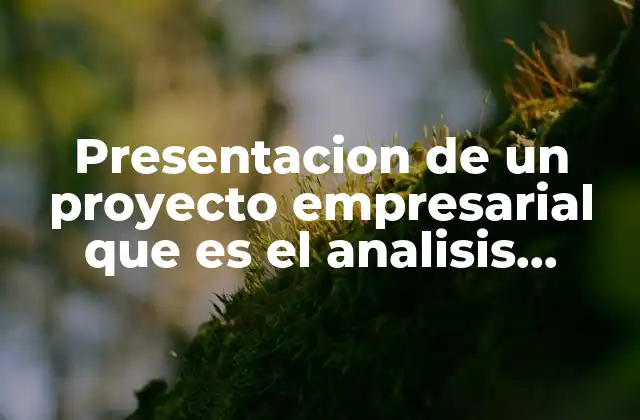 Presentacion de un Proyecto Empresarial que es el Analisis Costo-beneficio
