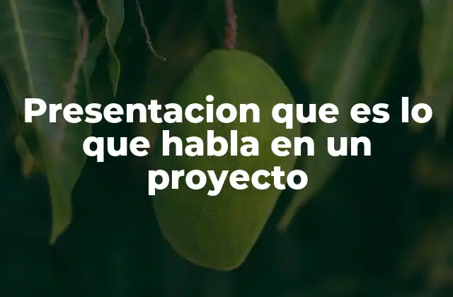 Presentacion que es Lo que Habla en un Proyecto