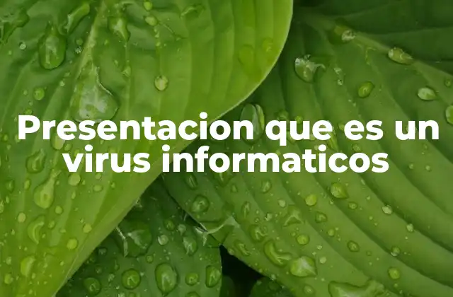 Presentacion que es un Virus Informaticos