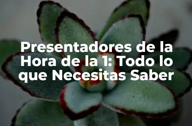 Presentadores de la Hora de la 1: Todo Lo que Necesitas Saber