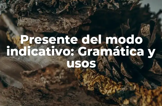 Presente Del Modo Indicativo: Gramática y Usos