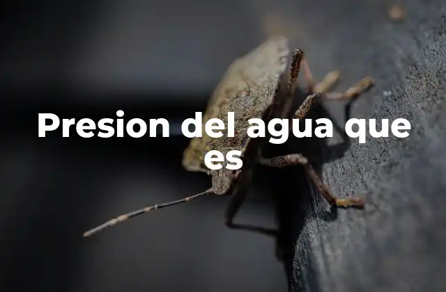 Presion Del Agua que es