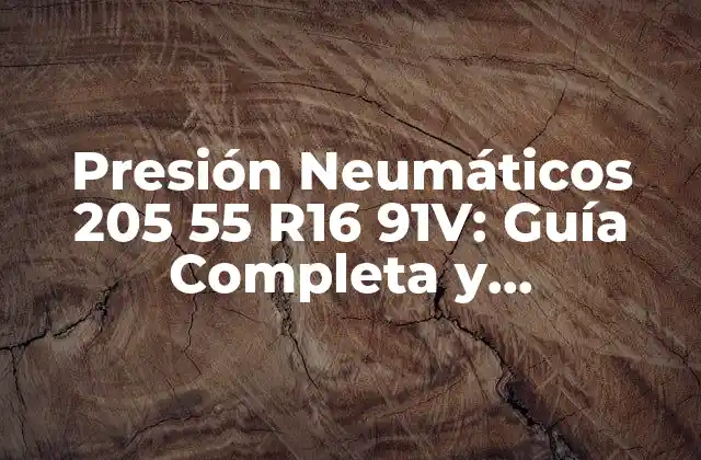 Presión Neumáticos 205 55 R16 91v: Guía Completa y Actualizada