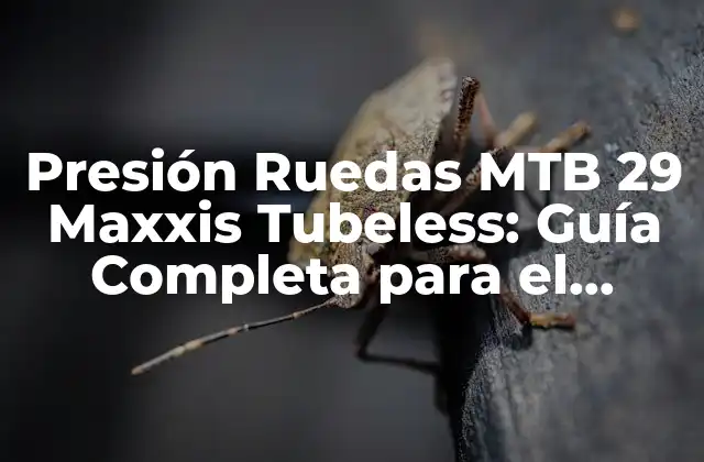 Presión Ruedas Mtb 29 Maxxis Tubeless: Guía Completa para el Ciclismo de Montaña
