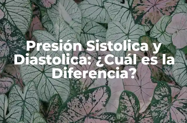 Presión Sistolica y Diastolica: ¿cuál es la Diferencia?