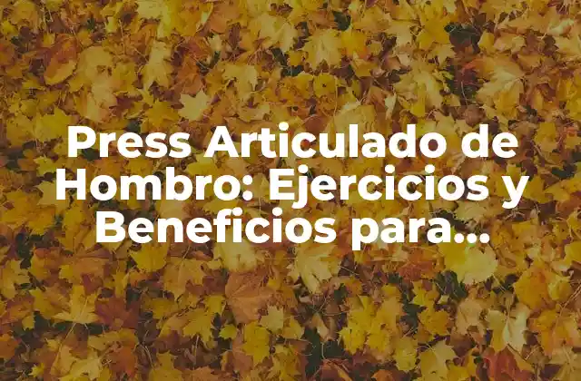 Press Articulado de Hombro: Ejercicios y Beneficios para Fortalecer Tus Hombros