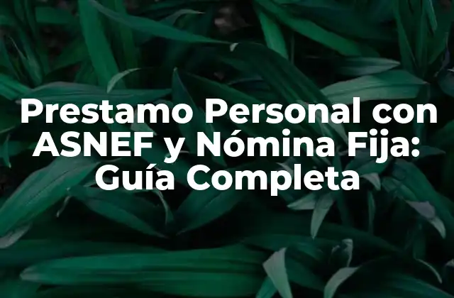 Prestamo Personal con Asnef y Nómina Fija: Guía Completa