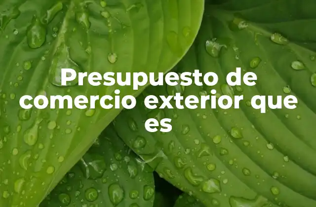 Presupuesto de Comercio Exterior que es 2 El papel del comercio exterior en la estrategia económica nacional