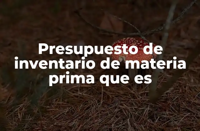 Presupuesto de Inventario de Materia Prima que es